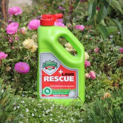 Lawn Lovers Lawn Rescue 2 Litres