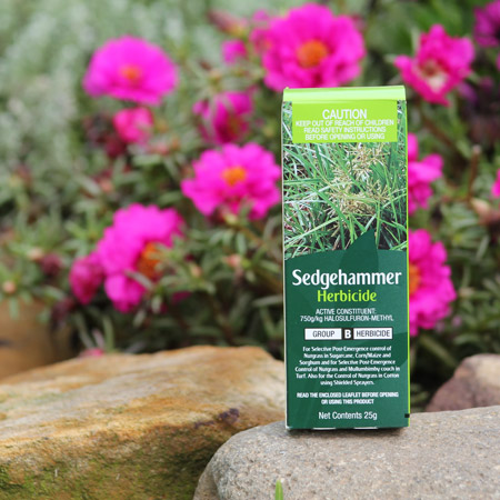 Sedgehammer Herbicide 25g 1 Sledgehammer Herbicide 25g