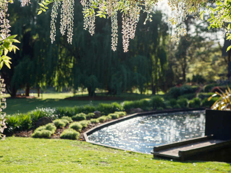 Overlooking Garden