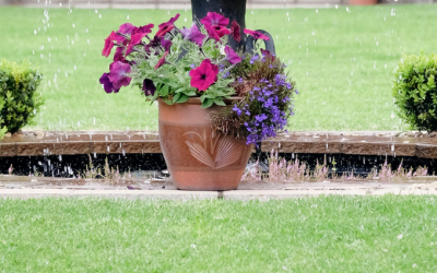 Walking the Tightrope for pH-erfect Soil