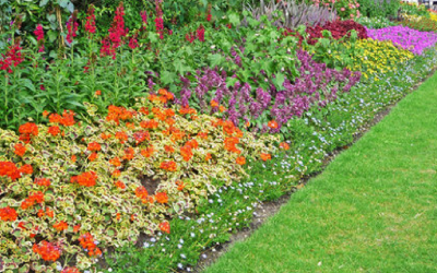 News 15 Keeping Over-Friendly Lawn Out Of Your Garden Bed