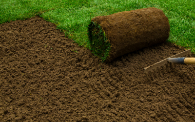 Your Go-To Guide for Laying New Turf