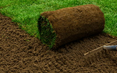 News 1 It All Starts at The Roots: Preparing Soil for New Turf