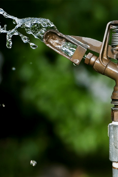 Water saving tips