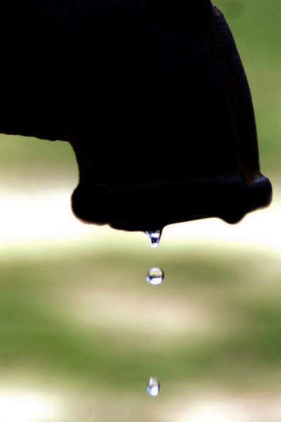 Ways to conserve water