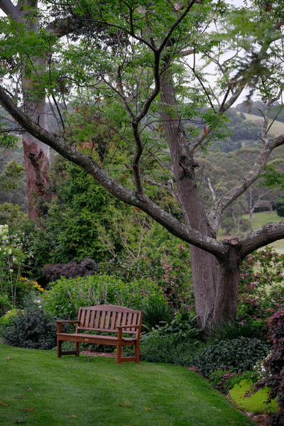 Sit back and enjoy your new lawn