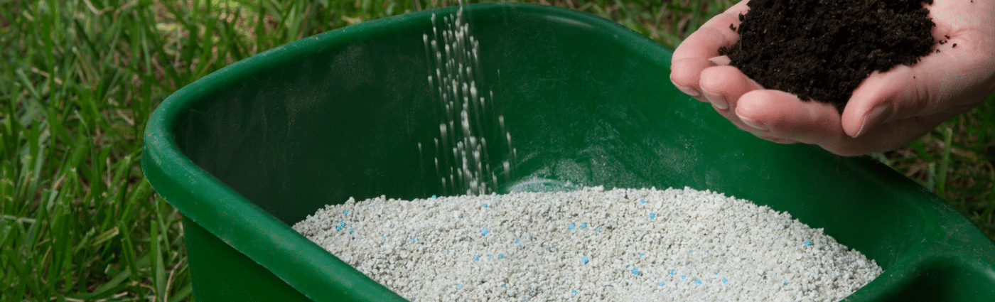fertilise to prevent your grass going to seed