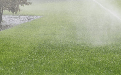 News 2 Water Saving Tips for Spring and Summer