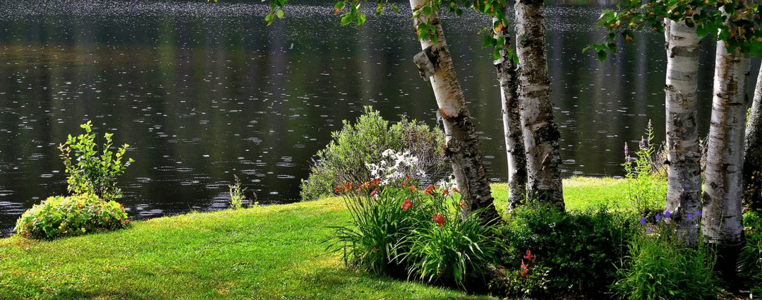 Turf Underlay and Your New Lawn