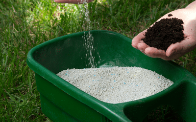 Avoid Lawn Burn from Fertiliser This Summer