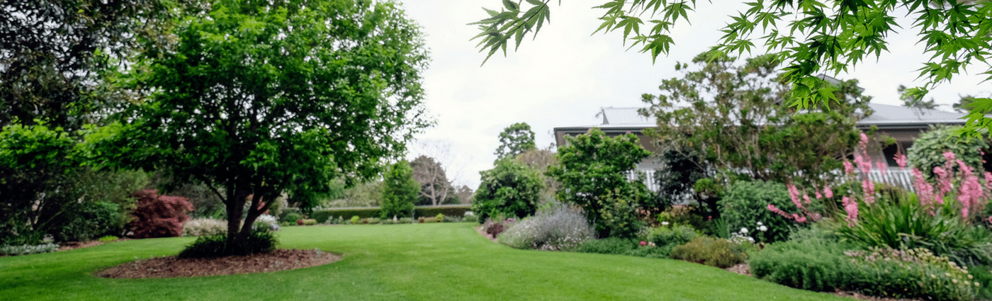 Summer garden