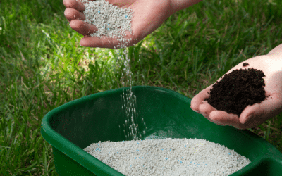 How to Avoid Over Fertilising Lawn
