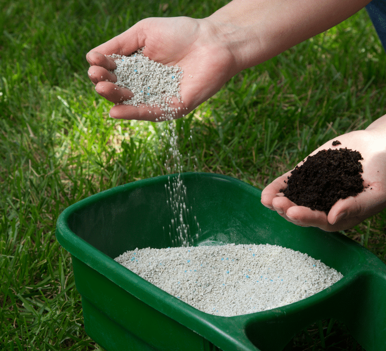 over fertiliser lawn