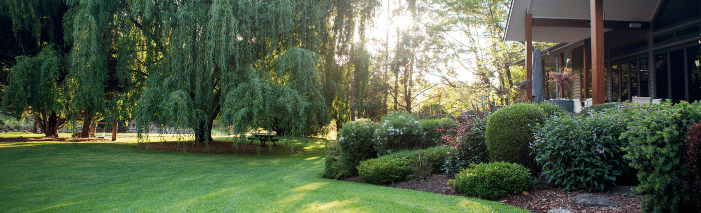 Avoid a Scalped Lawn