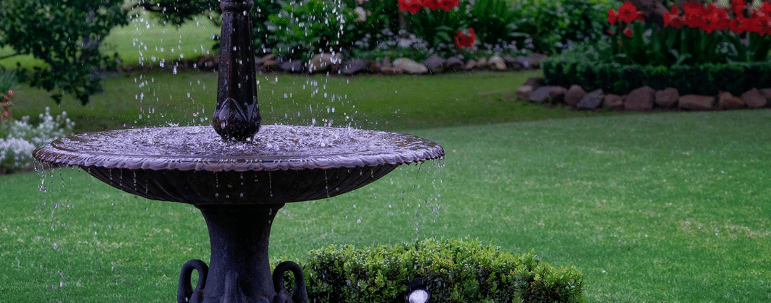 Avoiding A Scalped Lawn