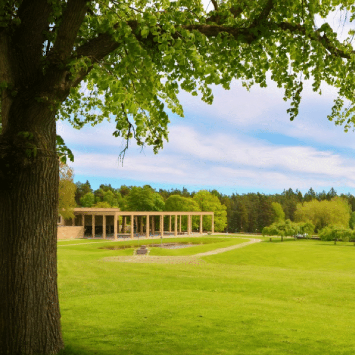 Natural cooling effect of grass