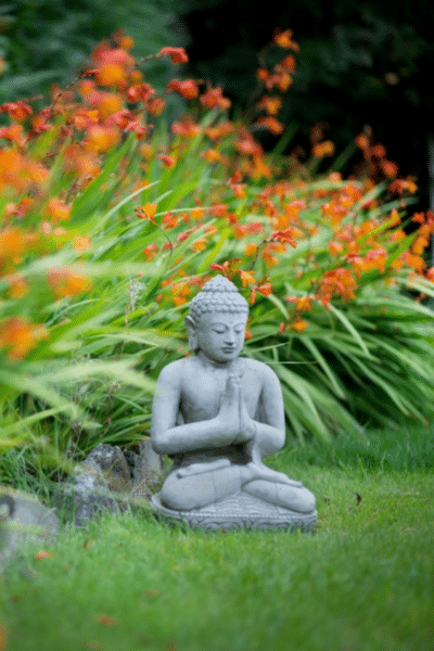 Post-Summer Lawn Care in Autumn
