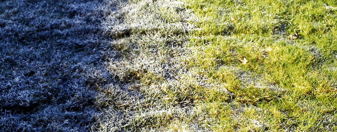 Preparing Lawn for Winter