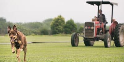 News 15 Protected: What Buy Turf Online Can Do for You