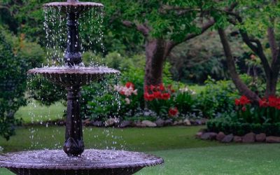 News 14 Prepare for Winter Shade on Your Lawn