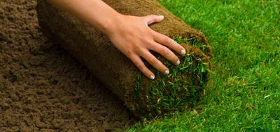 News 12 What’s Involved in Laying Down Turf?