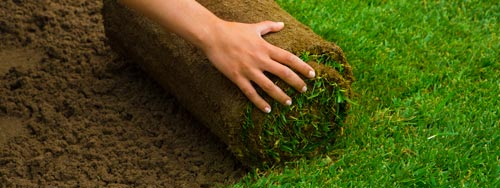 laying down turf