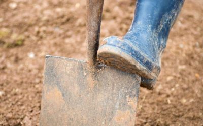 News 13 Starting with The Soil: Laying Turf Preparation