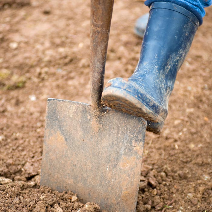 good lawn prep