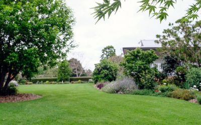 Mowing, watering and fertilising: the key to a healthy lawn