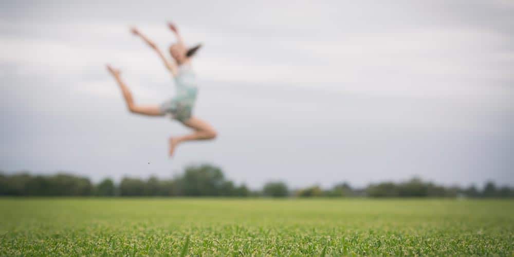 getting it right for your lawn variety