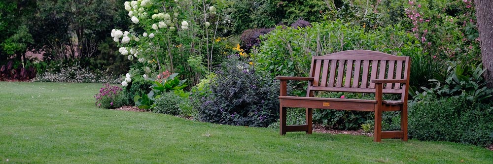 your lawn's wintercolour