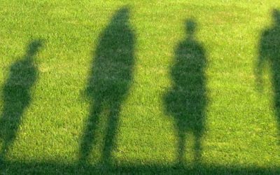 News 11 How El-Nino Will Affect Your Lawn