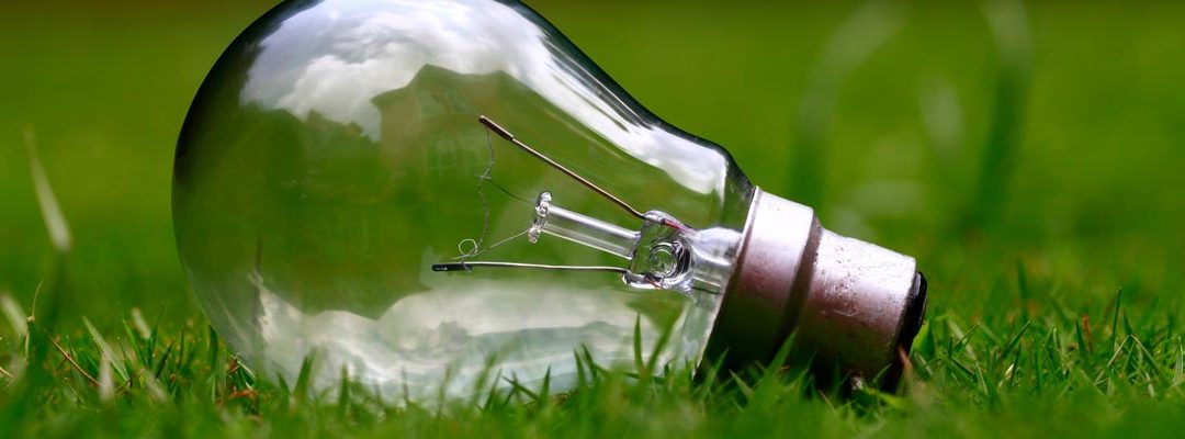 Tips for Lawn Care During Water Restrictions