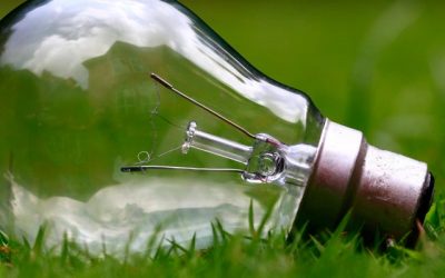 News 10 Tips for Lawn Care During Water Restrictions