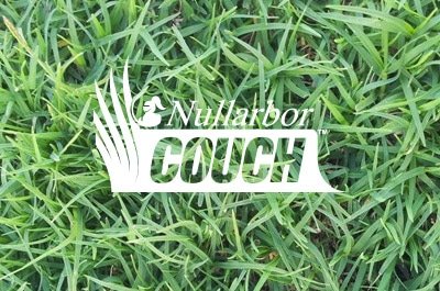 nullabor couch sydney grechs