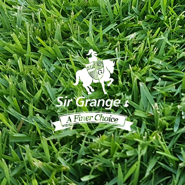 High-Quality Commercial Turf & Lawn Supplies 3 Turf for sports clubs