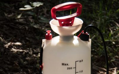 Are you choosing the right weed killer?