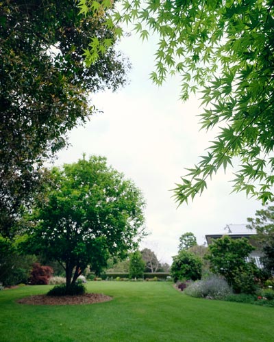 Fertilise your lawn
