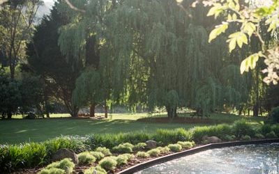 Getting Your Lawn in Shape After Summer
