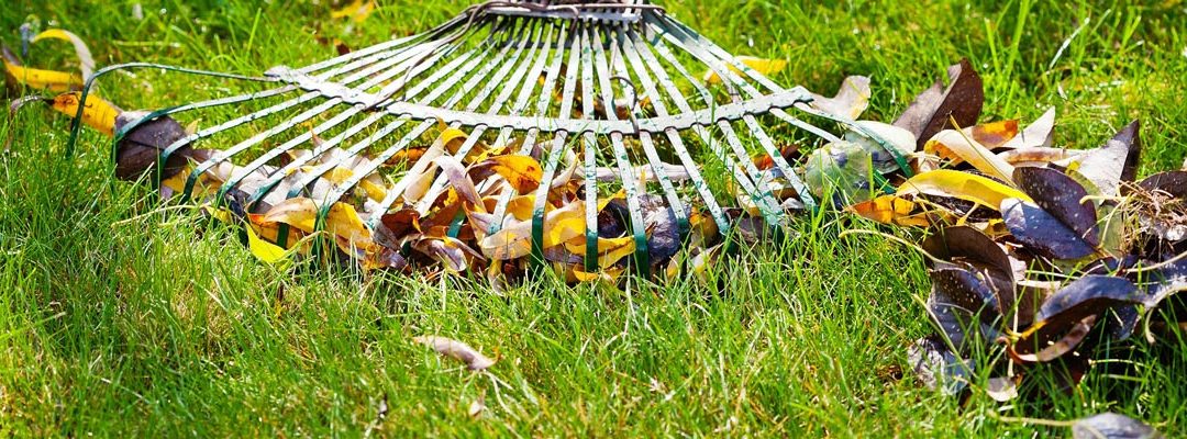 Getting Autumn Lawn Care Right