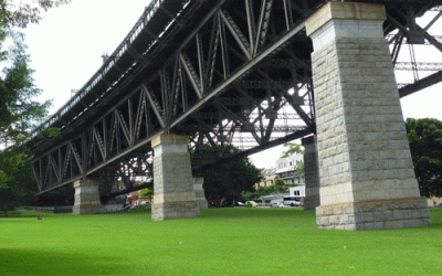 Working Towards a Greener Australia, One Lawn at a Time
