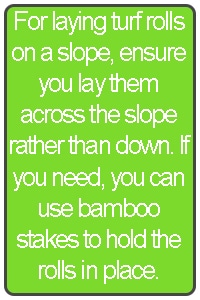 top tip