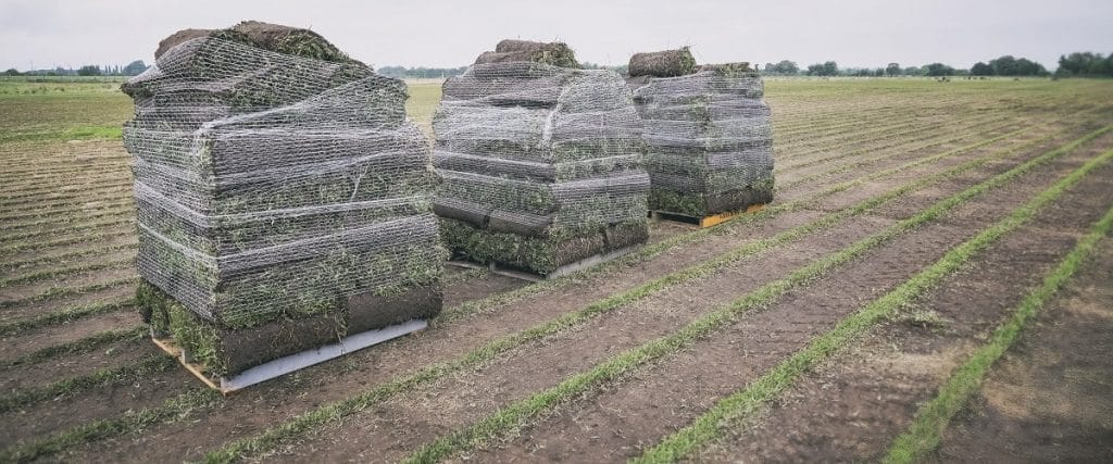 Turf Cut and Delivered Illawarra and South Coast