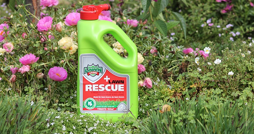 Lawn Lovers Lawn Rescue