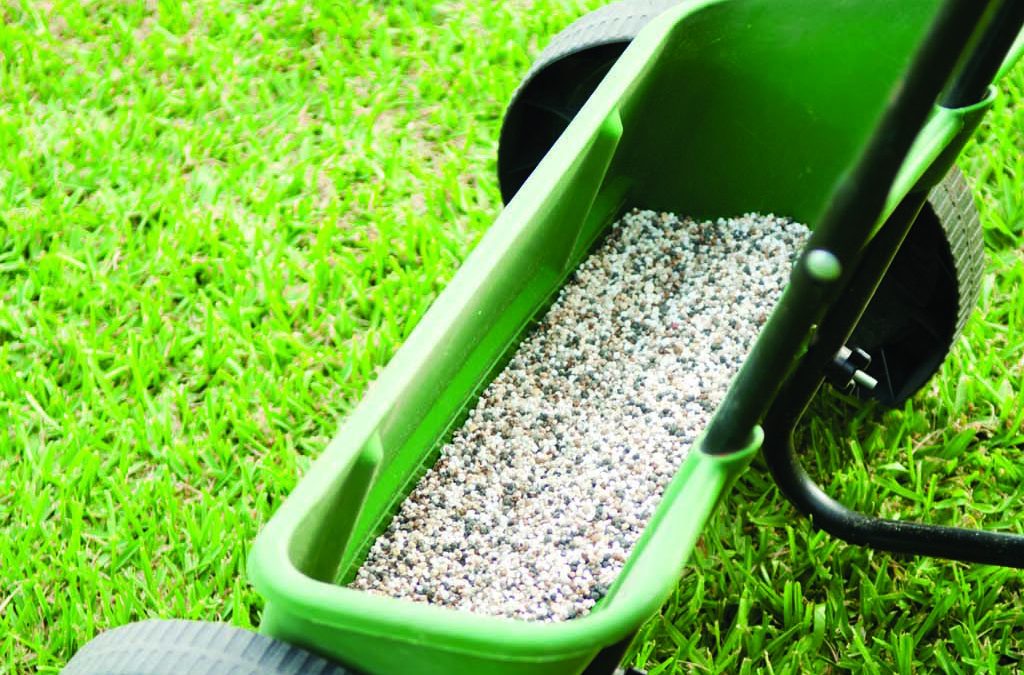How to Avoid Common Lawn Fertiliser Mistakes