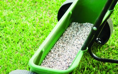 How to Avoid Common Lawn Fertiliser Mistakes
