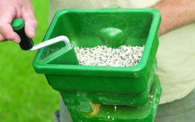 News 15 What is the Best Winter Fertiliser for Lawn?