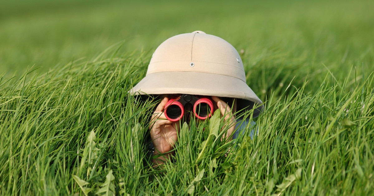 How to control Couch Grass