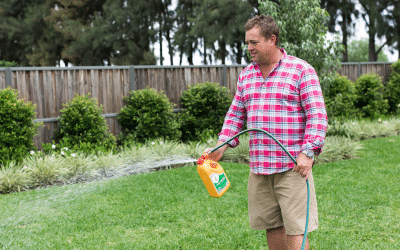 Best Liquid Lawn Fertiliser