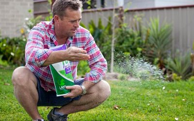 Lawn Fertiliser